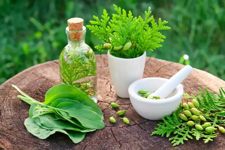 Nutraceuticals therapeutic care